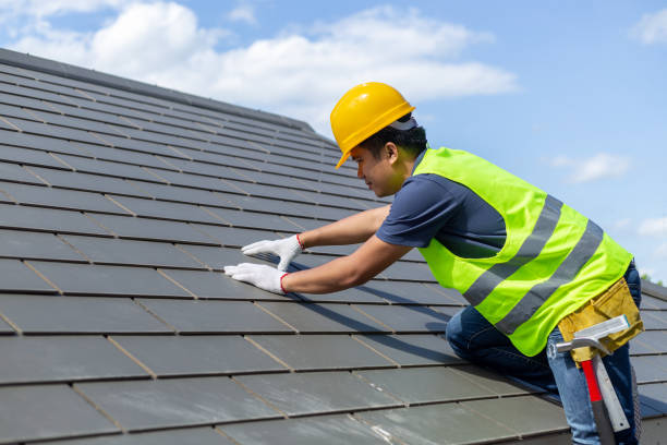 Best Roof Insulation Installation  in New Sharon, IA