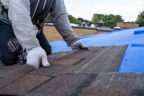 Best Commercial Roofing Services  in New Sharon, IA
