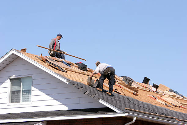 Best Roof Maintenance and Cleaning  in New Sharon, IA